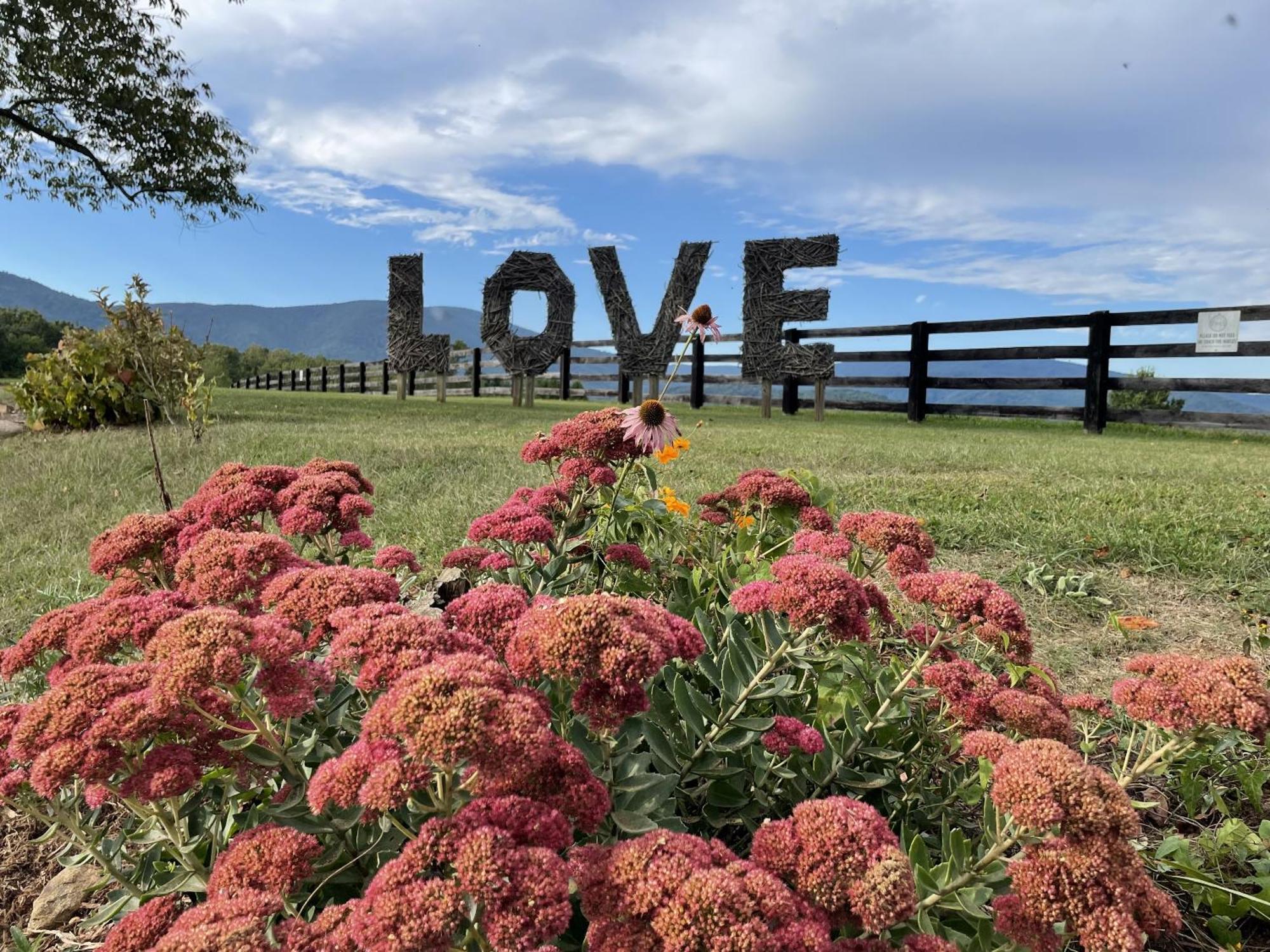 Montfair Resort Farm Crozet Værelse billede